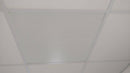 2'x2' White Plastic Perforated tile, 1/8" Perforations - 1800ceiling