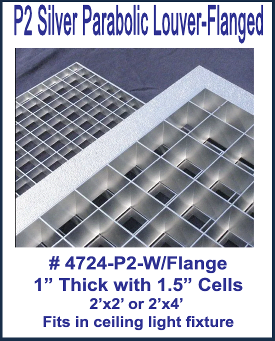 2'x4' Silver Parabolic with Flange, 1.5 in. x 1.5 in. Cells