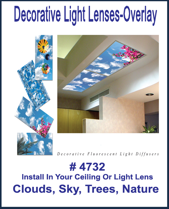 Decorative Light Lenses