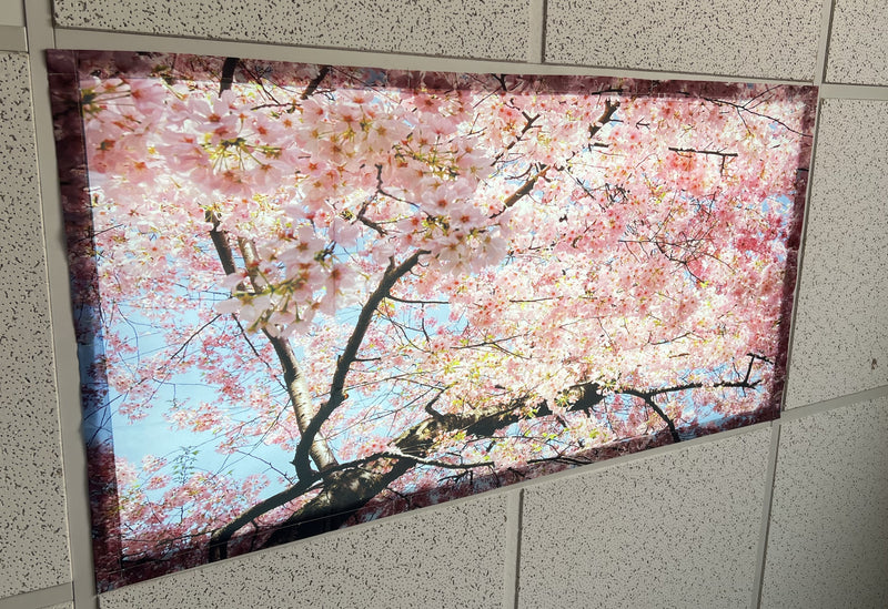 Fluorescent Light Covers-Magnetic/Fabric,2'x4' - 1800ceiling