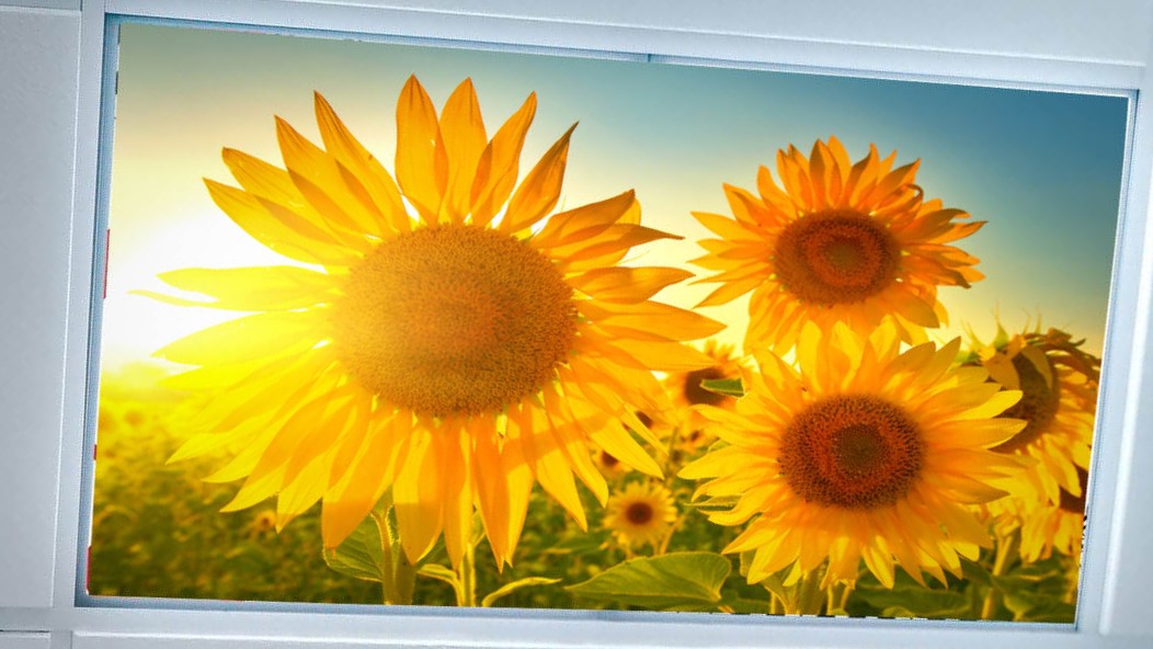 Fluorescent Light Covers-Magnetic/Fabric,2'x4' - 1800ceiling