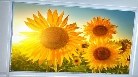 Fluorescent Light Covers-Magnetic/Fabric,2'x4' - 1800ceiling