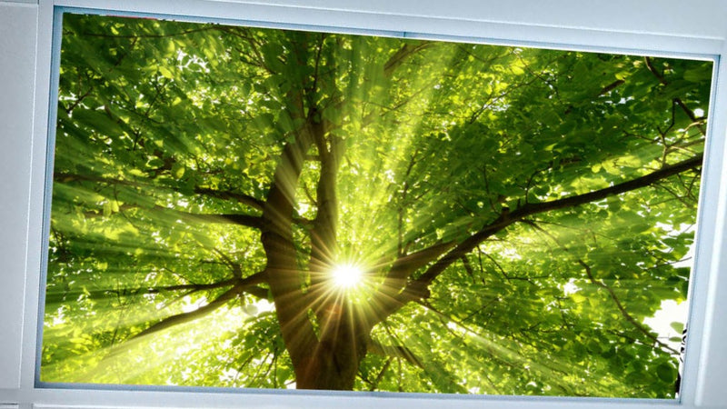 Fluorescent Light Covers-Magnetic/Fabric,2'x4' - 1800ceiling
