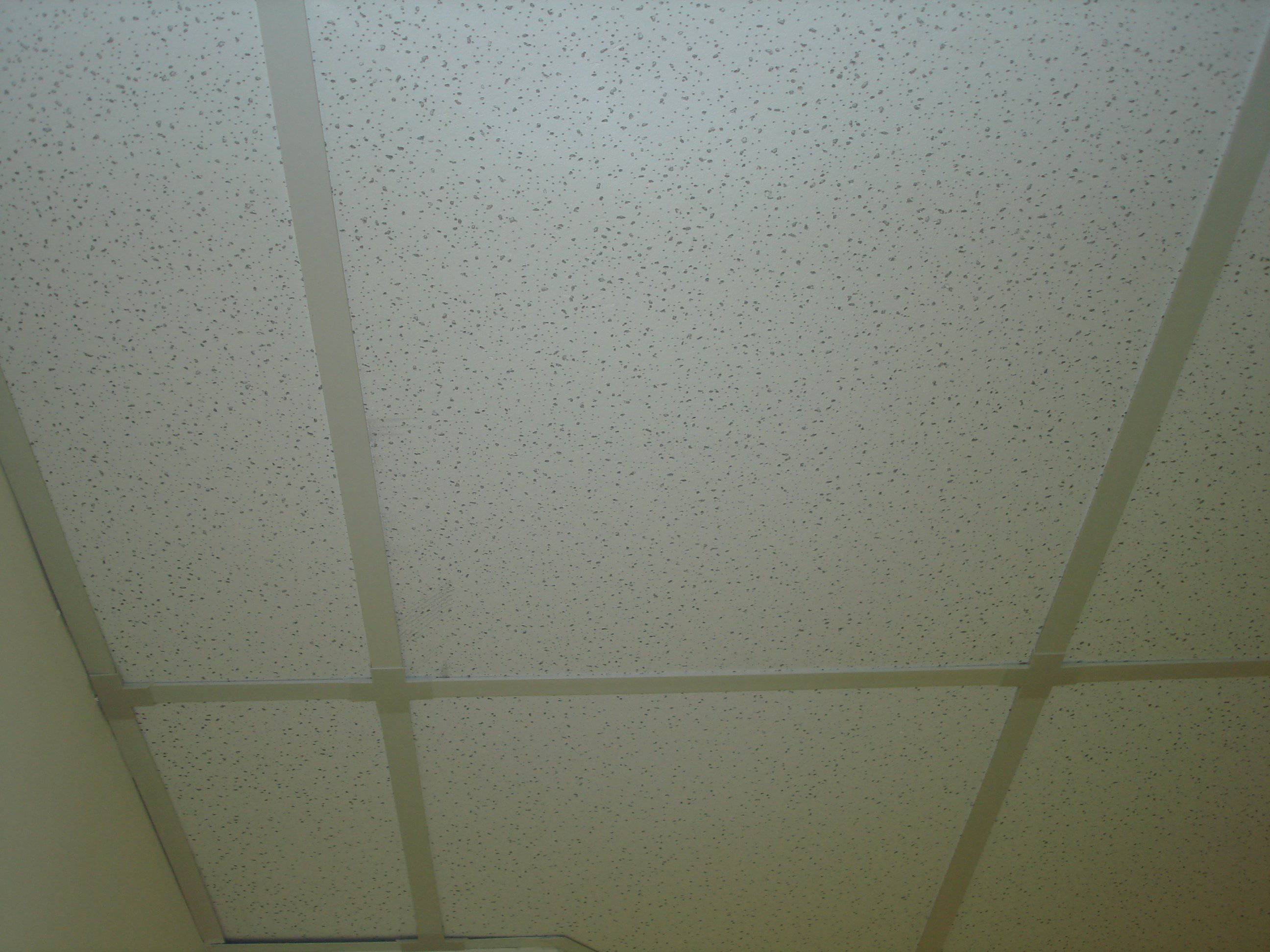 Ceiling Armor - 1800ceiling