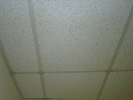 Ceiling Armor - 1800ceiling