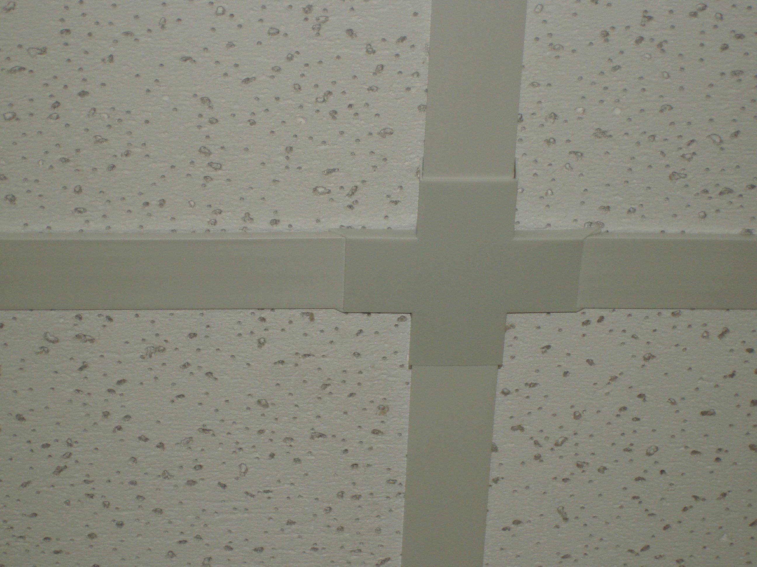 Cross Cap 50 Pack - 1800ceiling