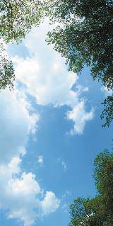 Michigan Sky (#4732-Mich Sky) - 1800ceiling