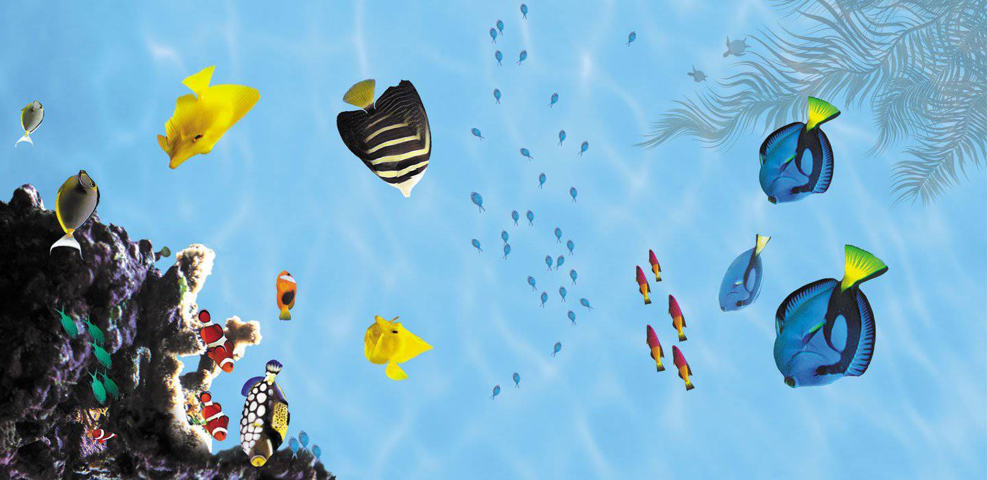 Oceanview 2 - 1800ceiling