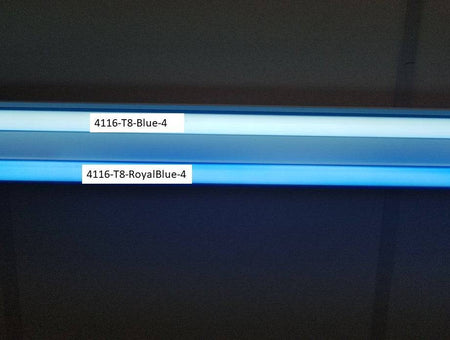 Royal Blue T8 Tube Guard for F32 Bulb - 1800ceiling