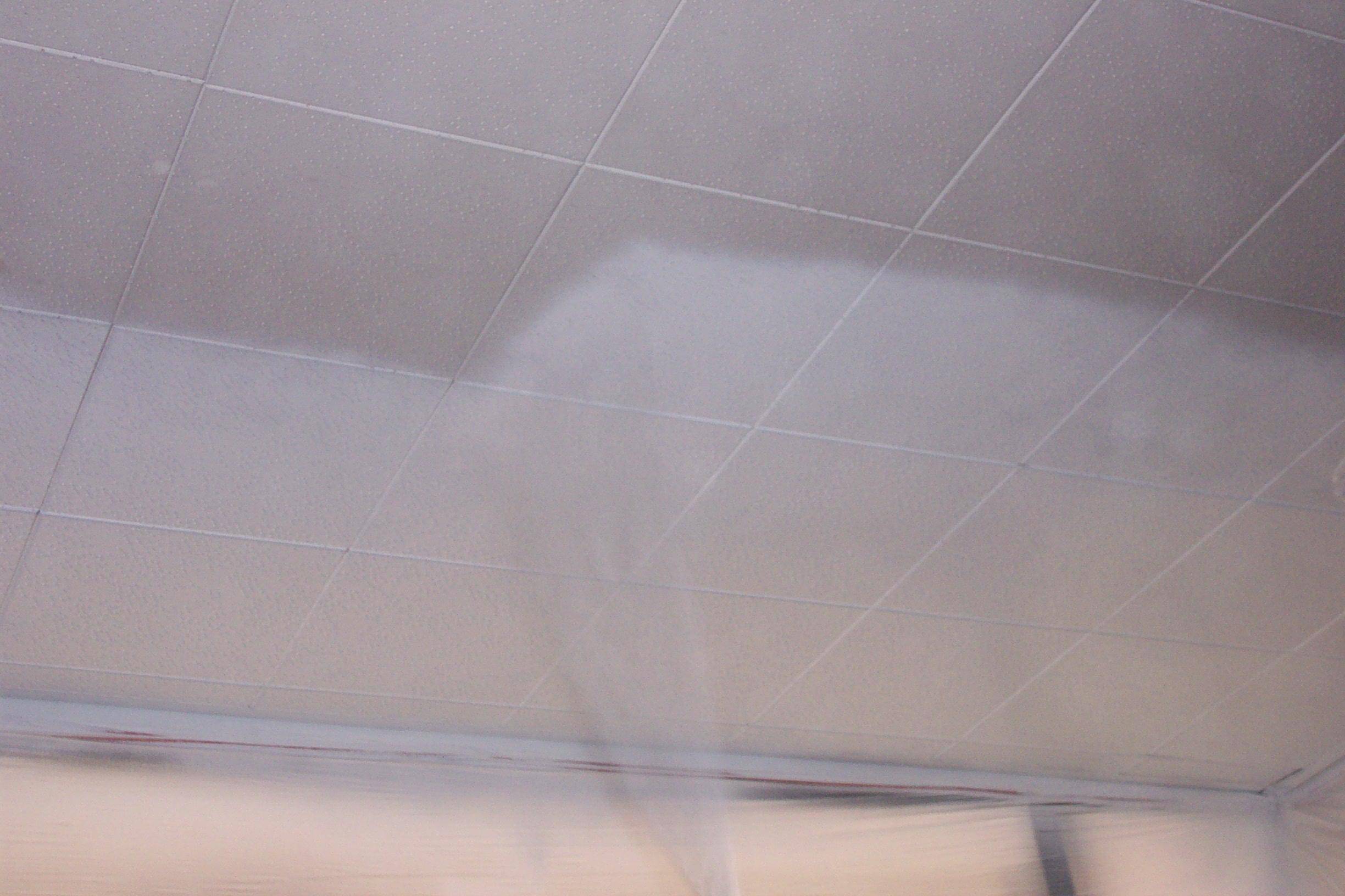 SAV-A-CEILING Architectural Ceiling Coating-5 Gallon Pail - 1800ceiling